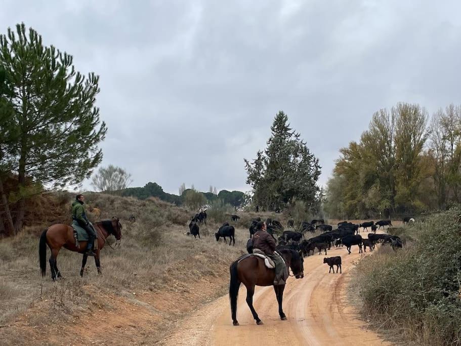 Casa Rural Berta El Picazo Esterno foto